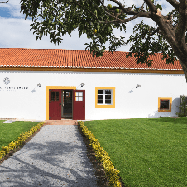 Quinta da Fonte Souto